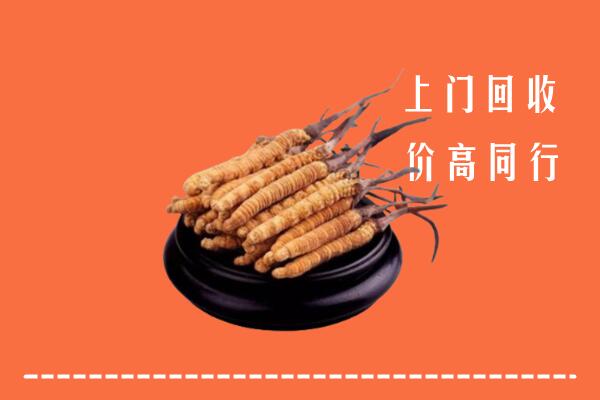 高价求购：曲沃县回收散虫草