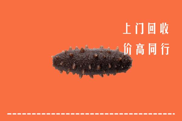 高价求购：曲沃县回收海参