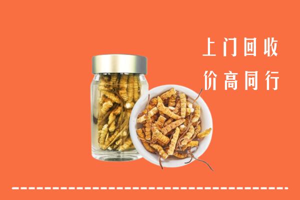 收购行情：曲沃县回收冬虫夏草